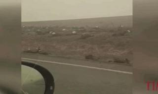 墨尔本鬼步舞面具男