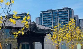 昆明呈贡房价新楼盘 昆明呈贡房价新楼盘