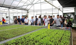 有机农业生态园 有机农业生态园