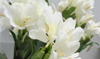 白色治愈系女生头像 白色治愈系女生头像