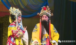 河南豫剧八大红脸王 河南豫剧八大红脸王