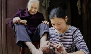 吴谢宇百科 吴谢宇百科