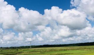 西安沙尘暴 西安沙尘暴