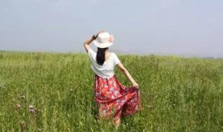 歌在飞原唱 歌在飞原唱