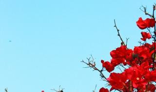 中国蓝天下 中国蓝天下