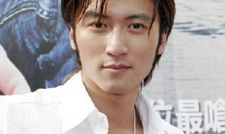 谢霆锋电视剧 谢霆锋电视剧