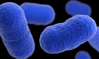 香肠派对为何下架