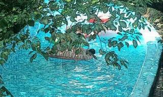 热带风暴电视剧 热带风暴电视剧