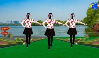 中老年广场舞大全