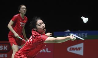 中国羽毛球锦标赛 中国羽毛球锦标赛